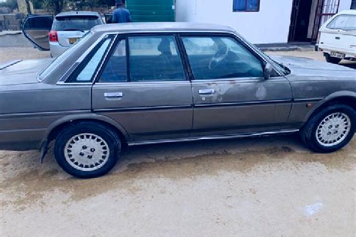 escort Borolong
