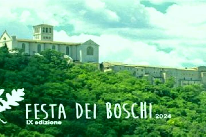 escort Boschi Sant Anna
