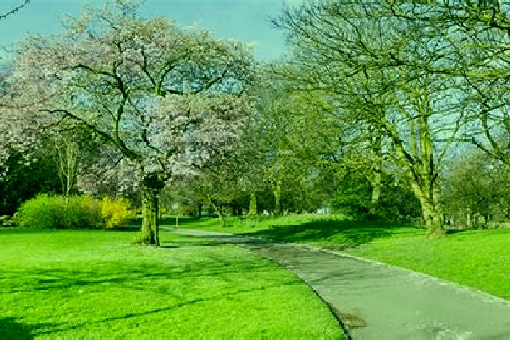 escort Bossley Park