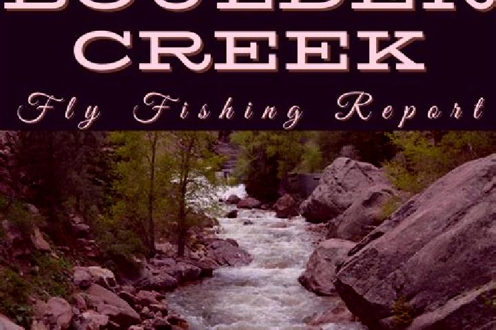 escort Boulder Creek