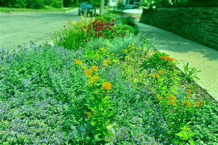 escort Boulevard Gardens