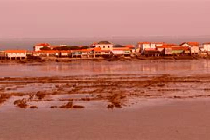 escort Bourcefranc-le-Chapus