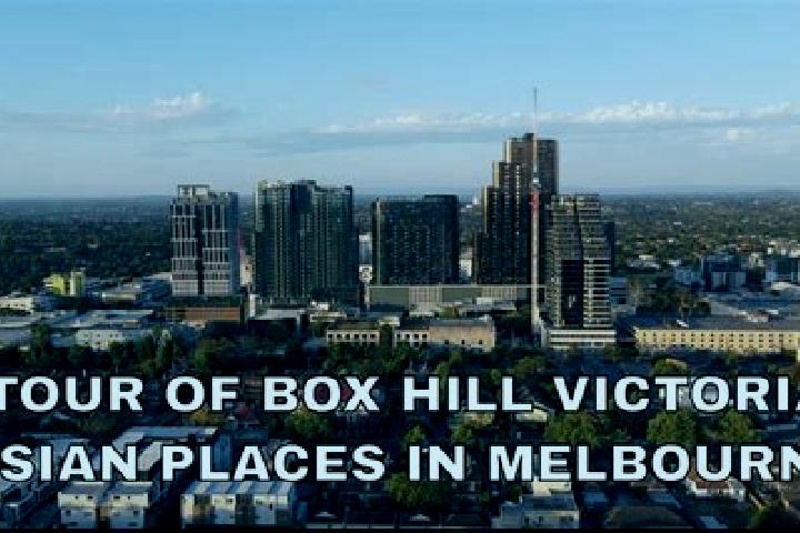 escort Box Hill North