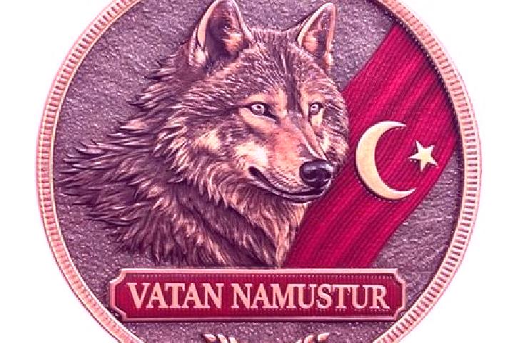 escort Bozkurt