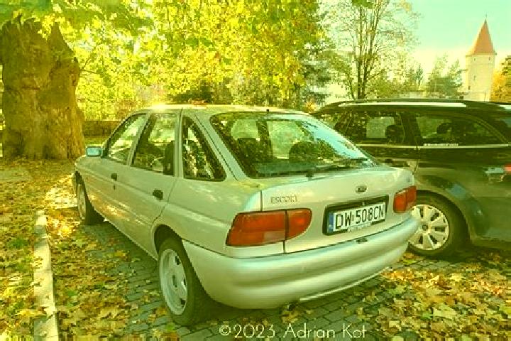 escort Bozovici