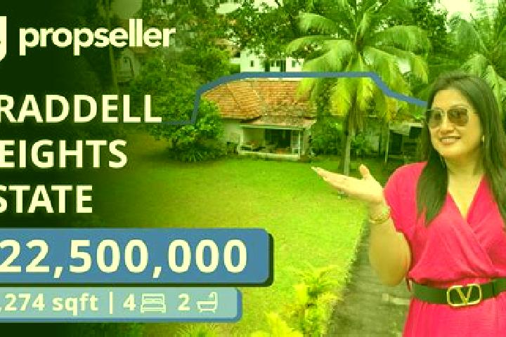 escort Braddell Heights Estate
