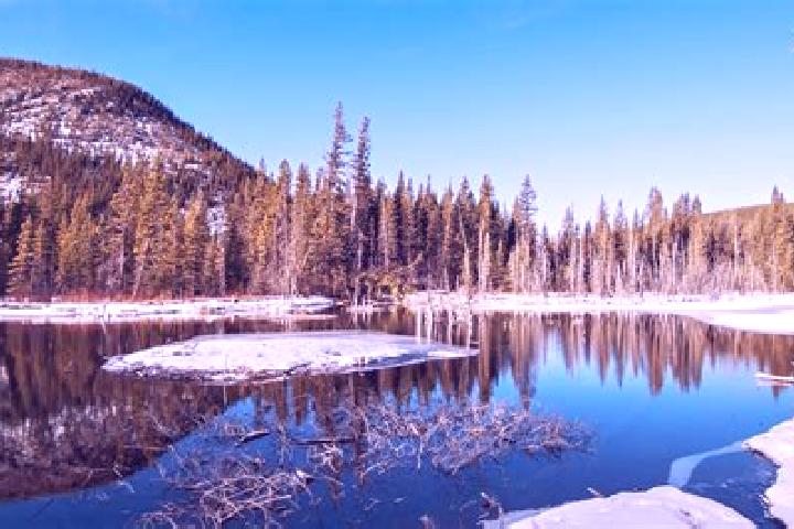 escort Bragg Creek