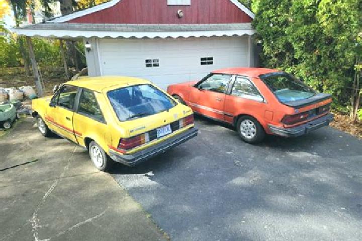 escort Braman Corners