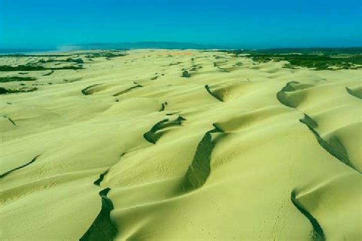 escort Bray-Dunes