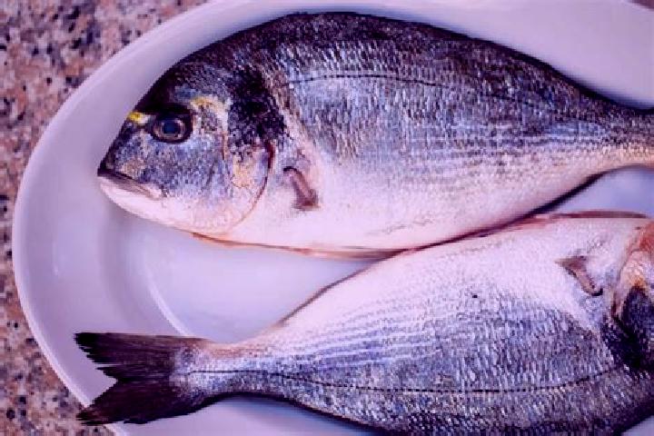 escort Bream