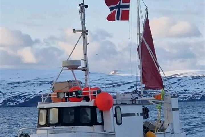escort Breivikbotn