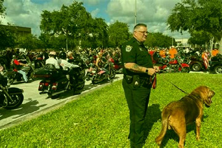 escort Brevard