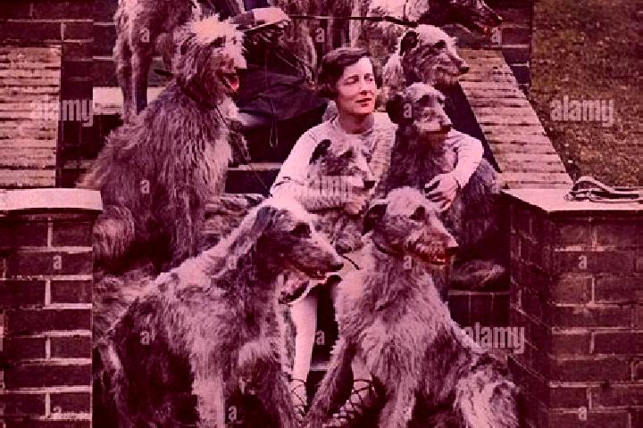 escort Bridge Sollers