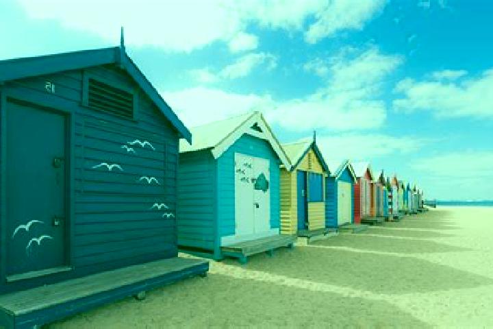 escort Brighton Beach