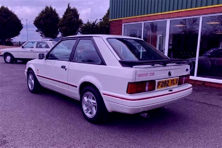 escort Brinkhorst