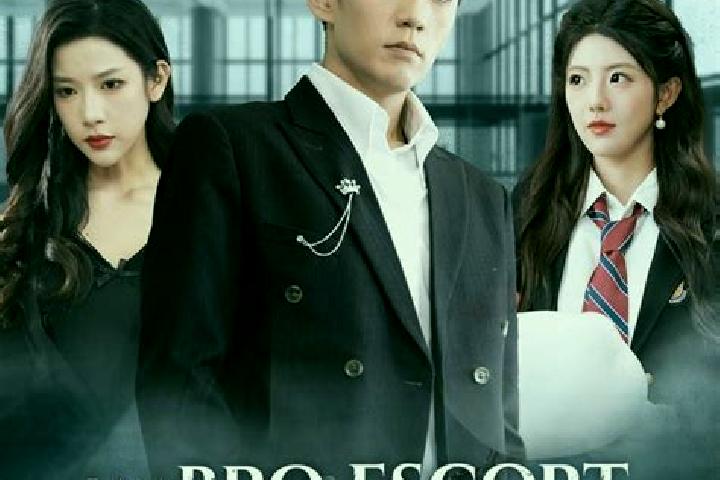 escort Bro