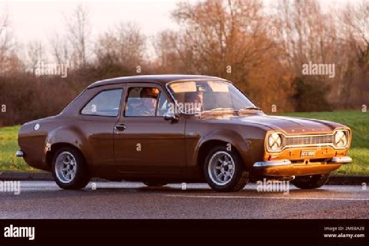 escort Brown City