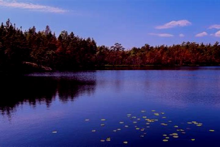 escort Browns Lake