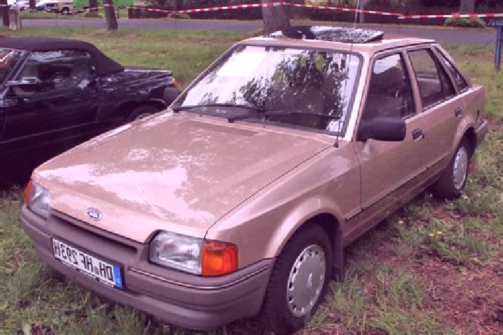 escort Bruchhausen