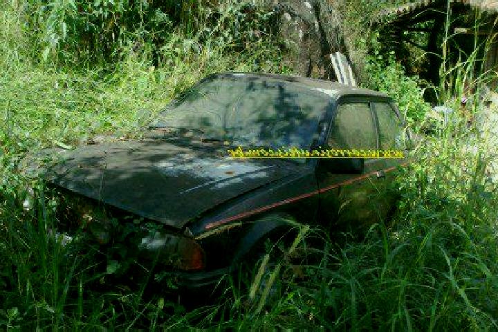 escort Brumadinho