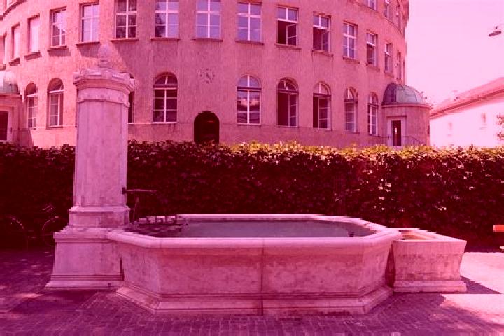 escort Brunnen