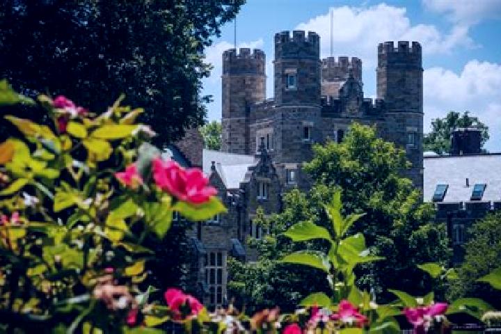 escort Bryn Mawr