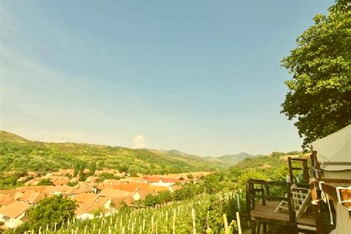 escort Bucerdea Vinoasa