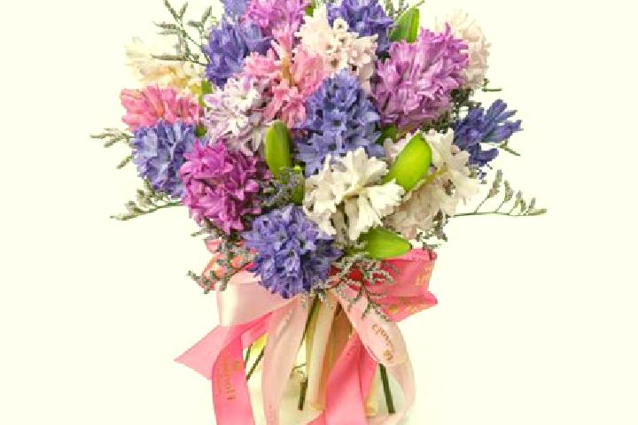 escort Buchet