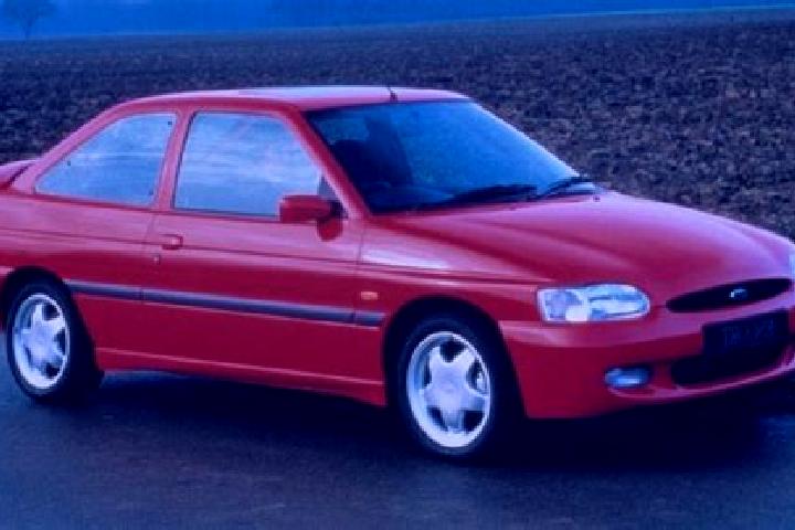 escort Buciegas