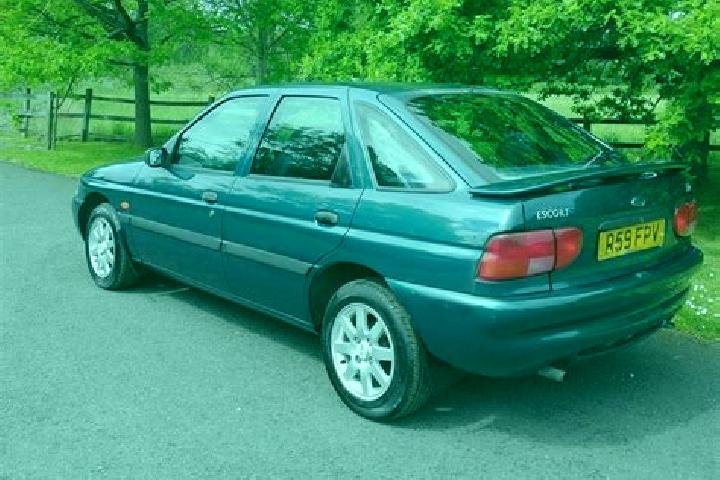 escort Bucovat