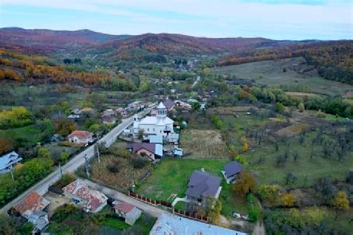 escort Buda Craciunesti
