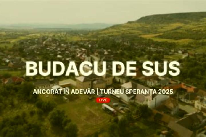 escort Budacu de Sus