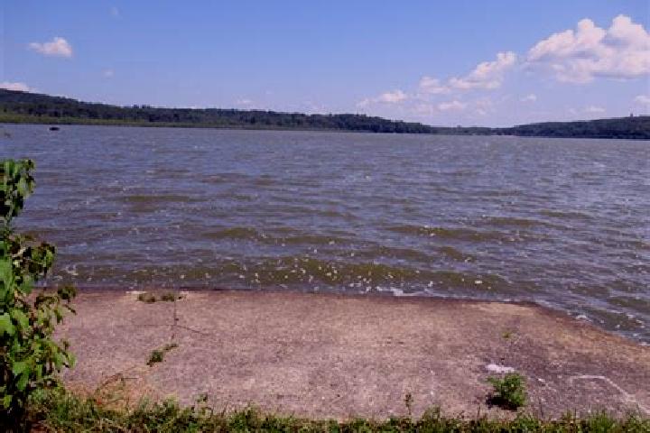 escort Budd Lake