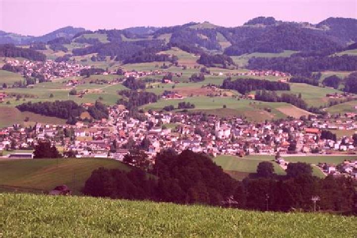 escort Buetschwil