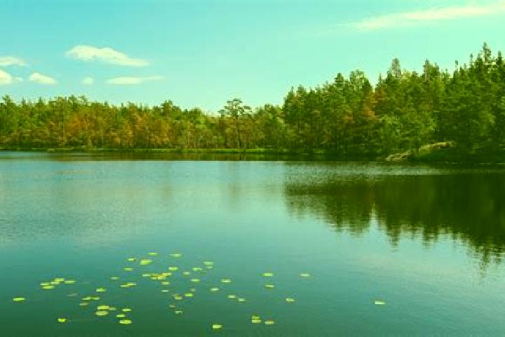 escort Buffalo Lake