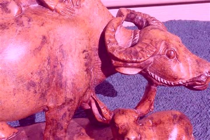 escort Buffalo Soapstone