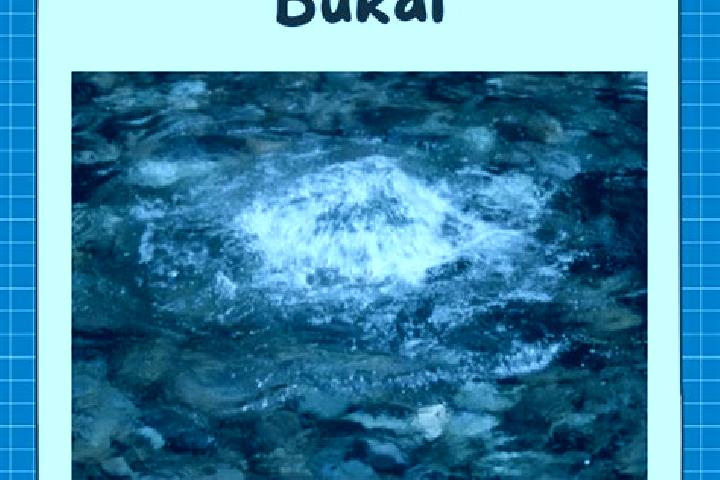 escort Bukal