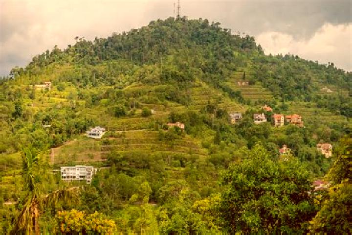 escort Bukit Tambun