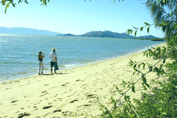 escort Bushland Beach
