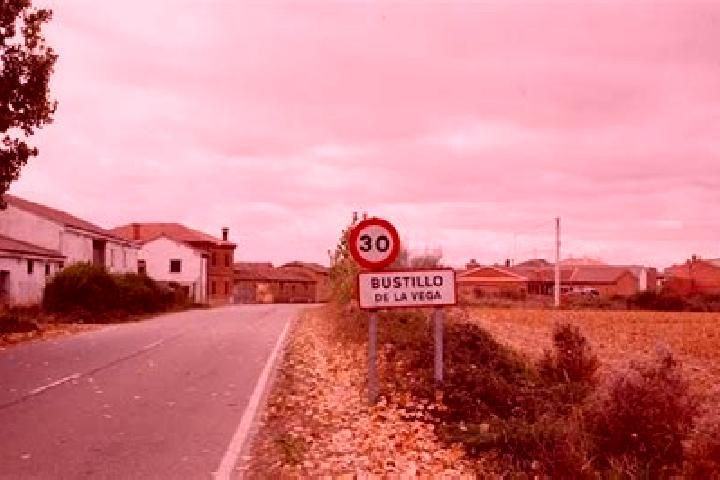 escort Bustillo de la Vega