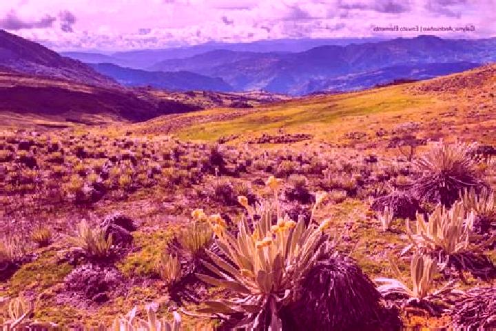 escort Bustillo del Paramo de Carrion