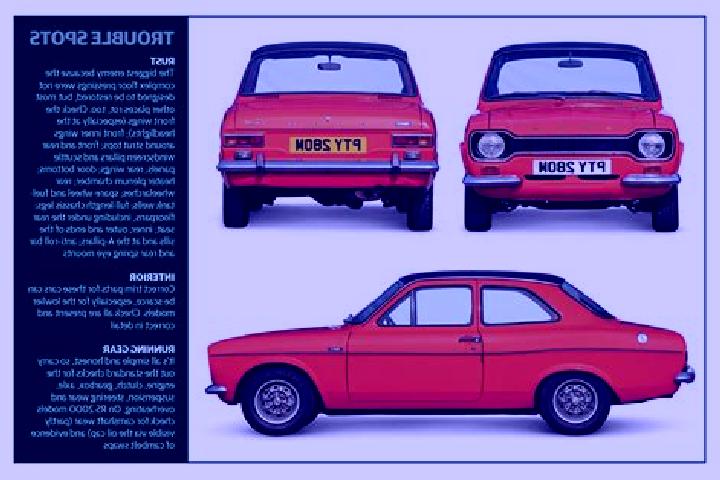 escort Buy