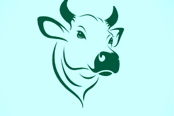 escort Cabeza la Vaca