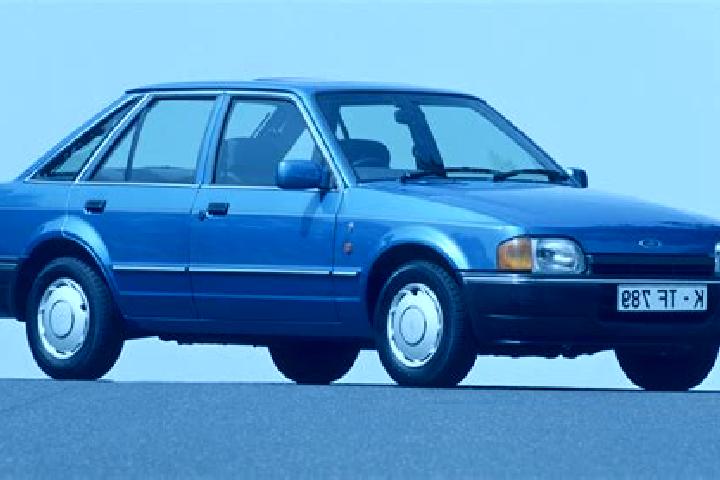 escort Cachon