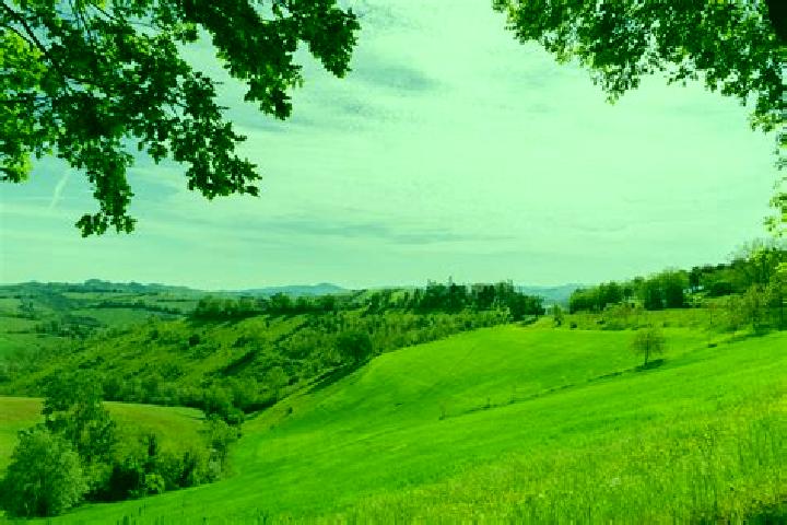 escort Cadelbosco di Sopra