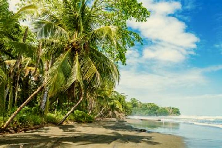 escort Cahuita