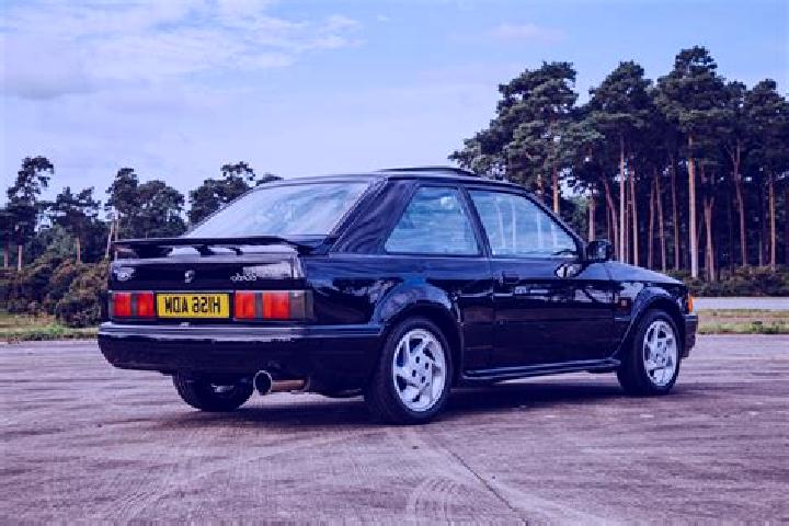 escort Caicun