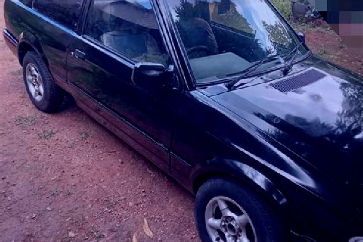 escort Caldas Novas
