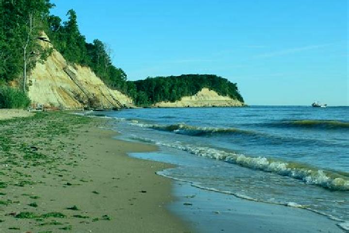 escort Calvert Beach