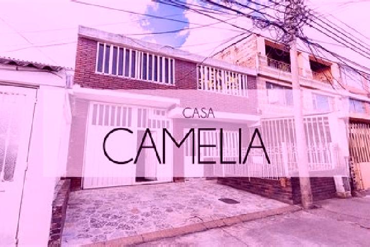 escort Camelia (Barrio la Camelia)